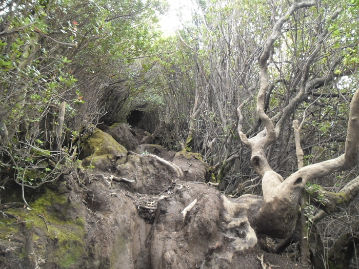 shelter 3 gunung kerinci