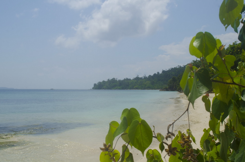 Pulau Marak