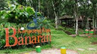 Kopi Banaran