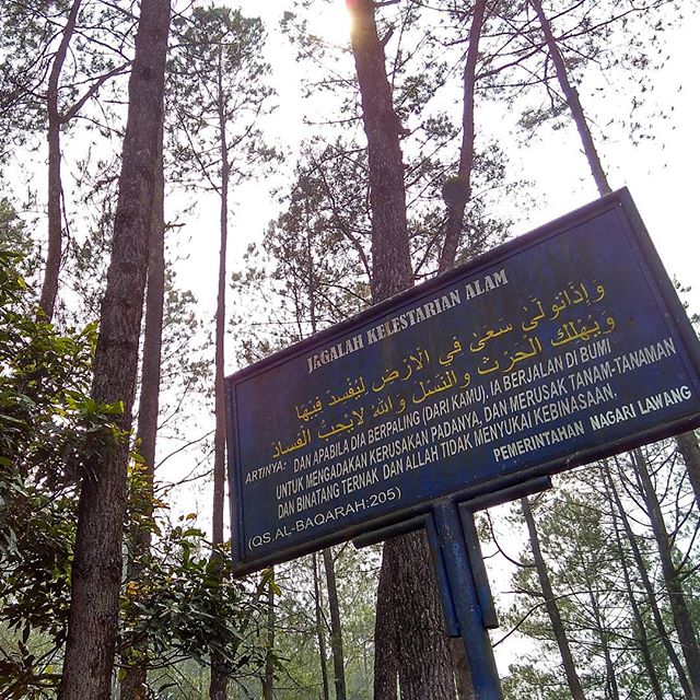 alam