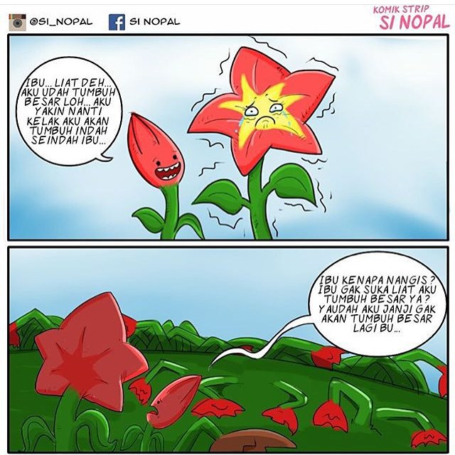 si_nopal