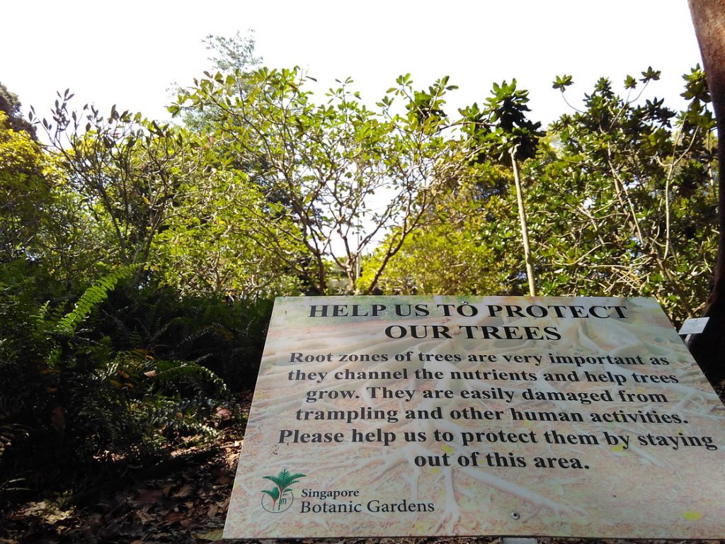 Singapore Botanical Garden