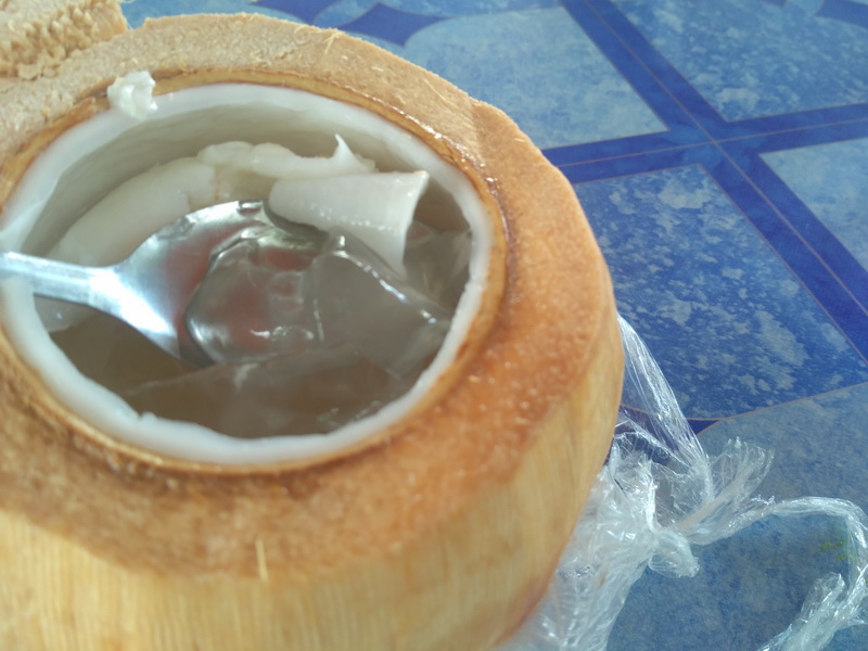 kelapa-jelly