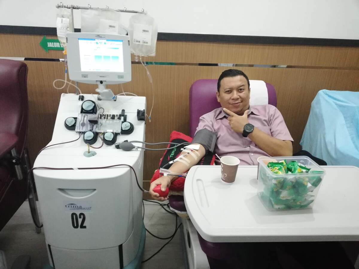 Donor apheresis untuk apa