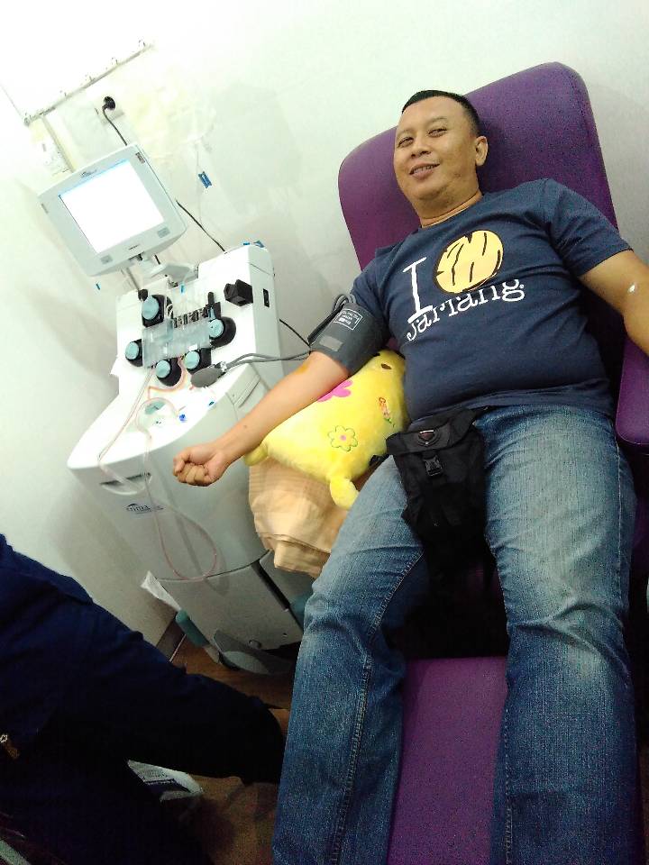 Donor darah apheresis