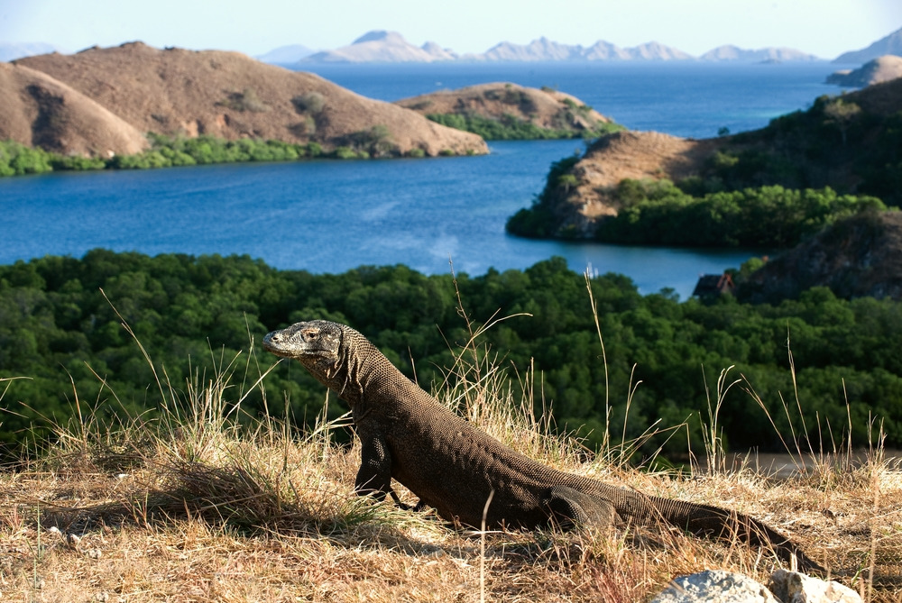 tempat wisata di labuan bajo