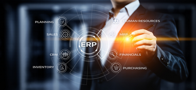 software sistem erp systemever terbaik