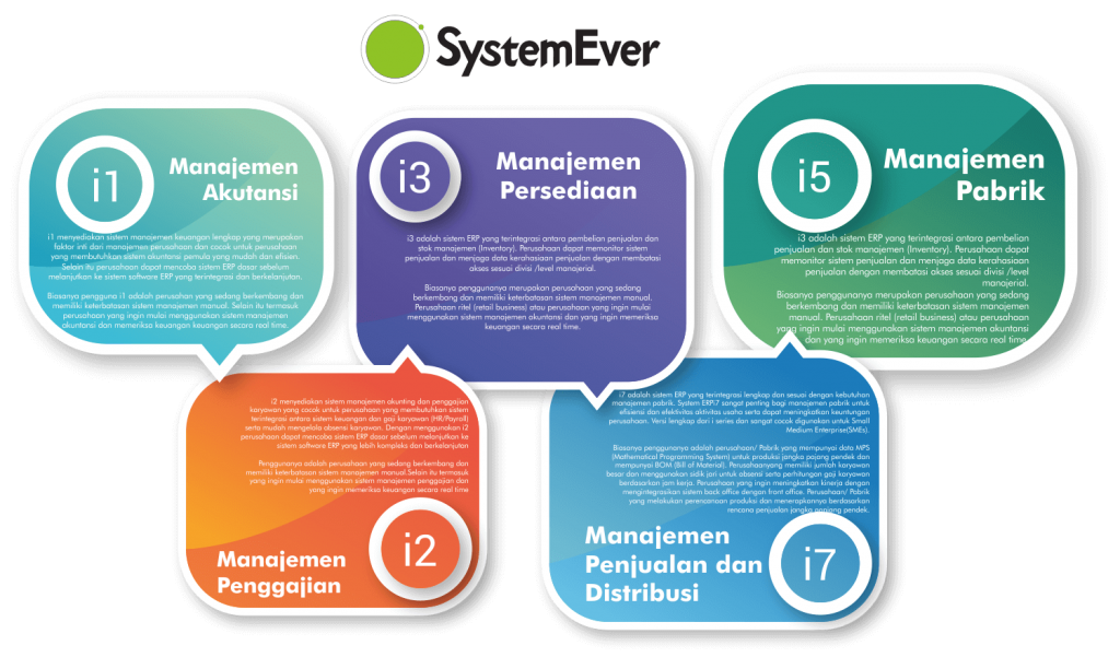 Software Sistem ERP SystemEver