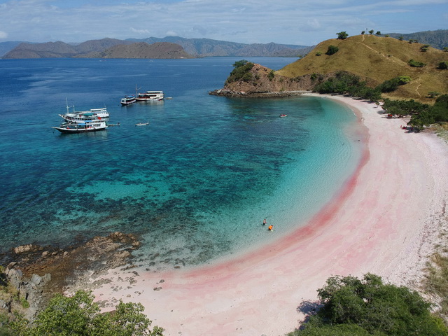 pink-beach-lombok-Destinasi Wisata Yang Menarik Untuk dikunjungi Setelah Pandemi Covid-19 Berakhir