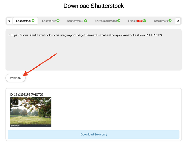 cara download shutterstock gratis