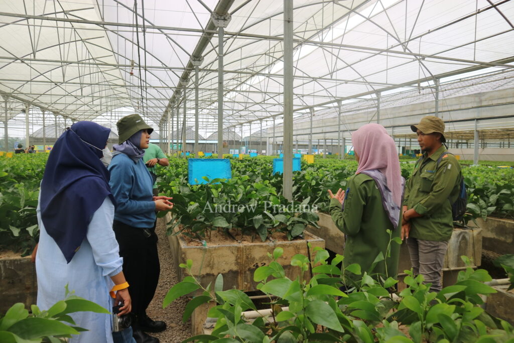 Melihat proses penumbuhan pohon muda di Kerinci Central Nursery 2