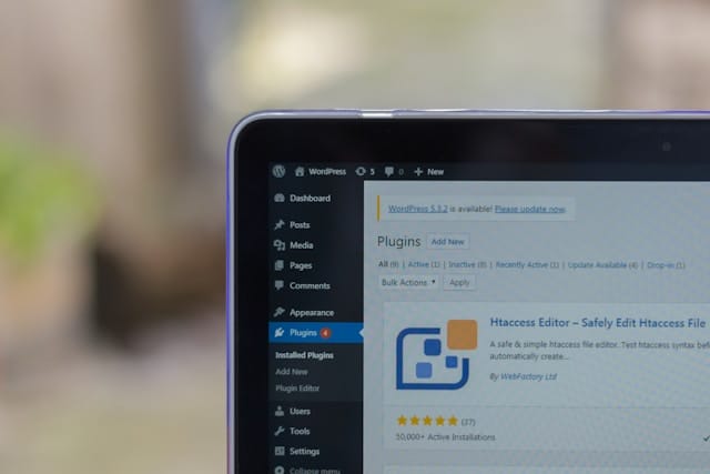 plugin site speed wordpress